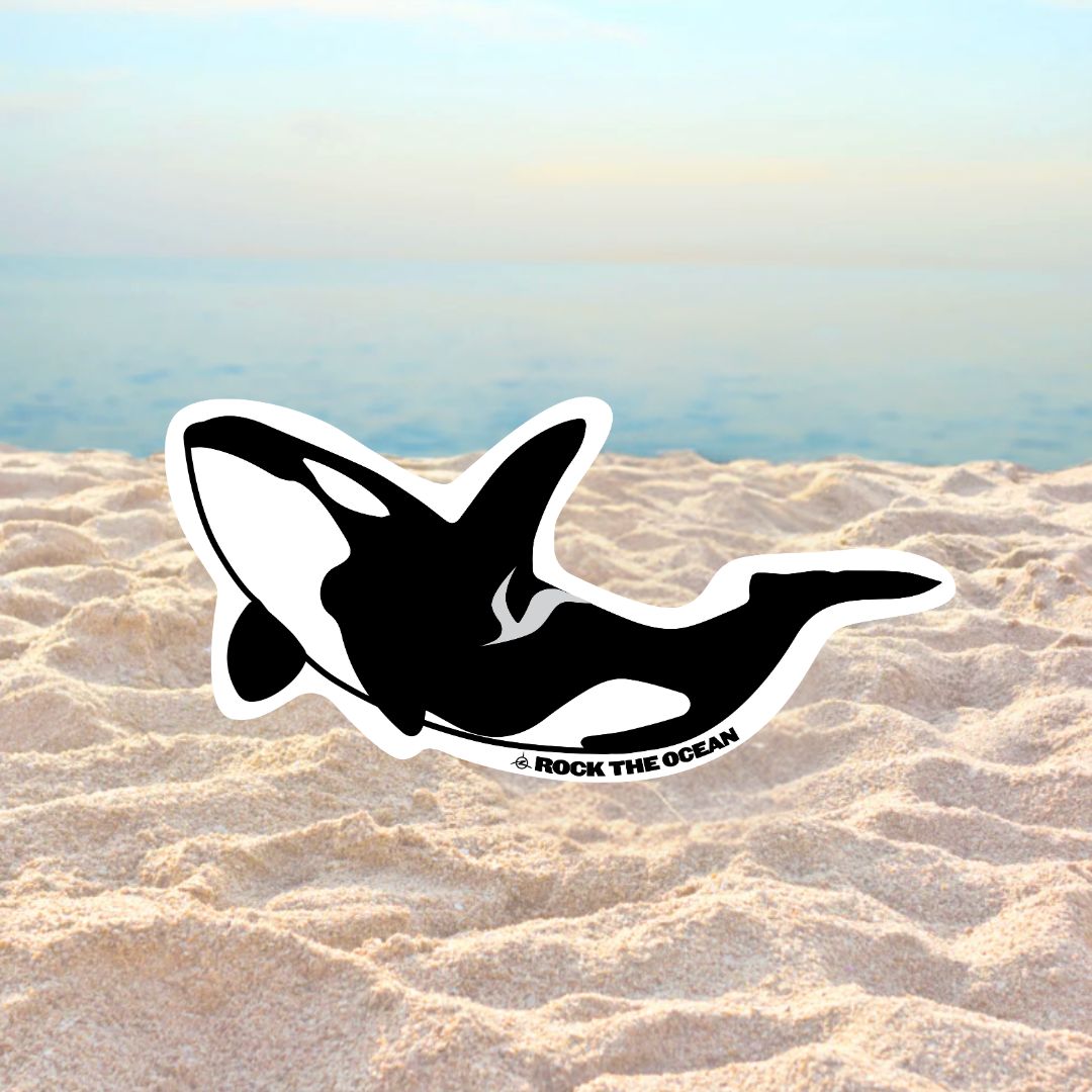 OCEAN SUN STICKER – Rock The Ocean by Campus Customs